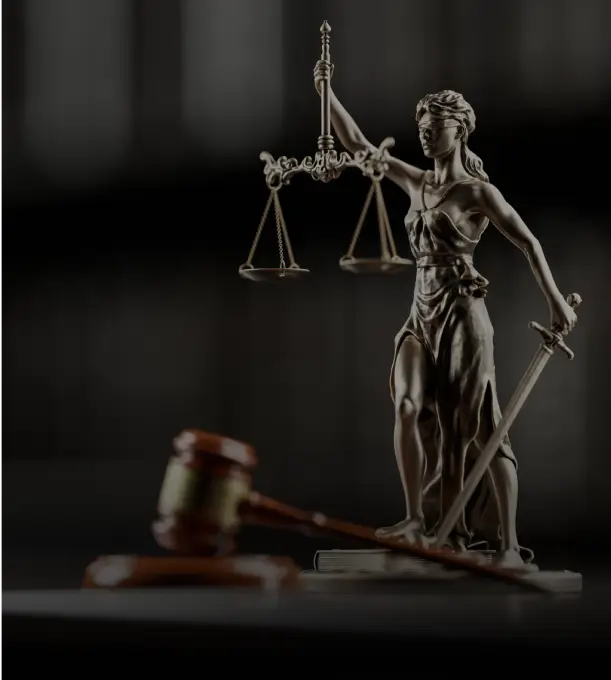 img legal