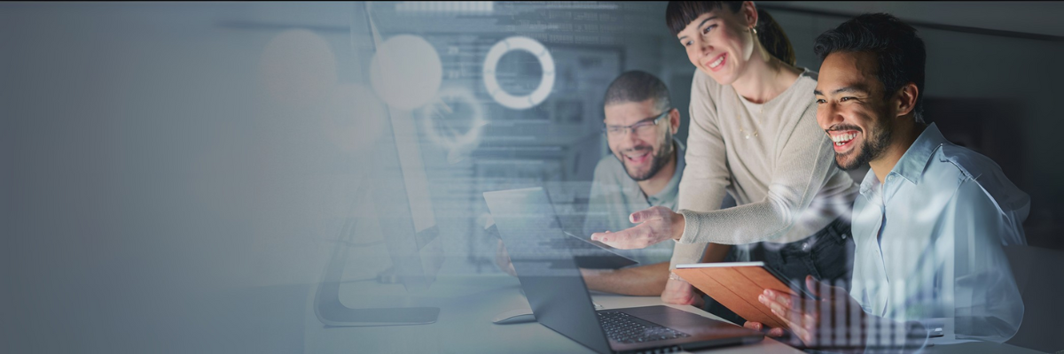 financial personnel looking at a computer for IT services cost controls