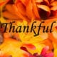 fall flowers with the word "Thankful"