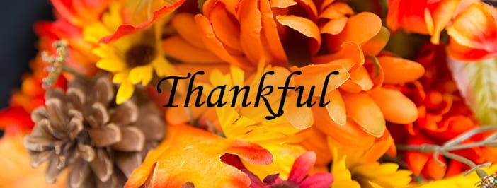 fall flowers with the word "Thankful"